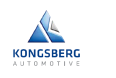kongsberg automotive retailers